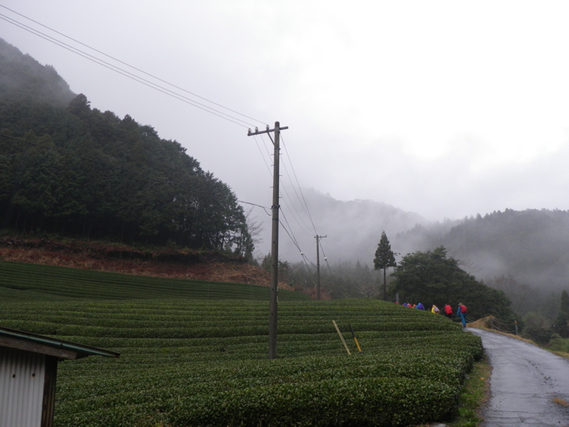 f:id:s-field0808:20120324102711j:image:w360 f:id:s-field0808:20120324102711j:image:w360