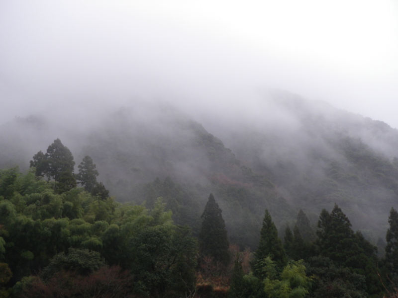 f:id:s-field0808:20120324102948j:image:w360 f:id:s-field0808:20120324102948j:image:w360