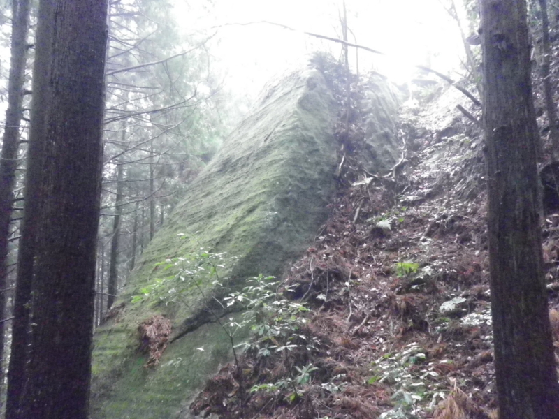 f:id:s-field0808:20120324103237j:image:w360 f:id:s-field0808:20120324103237j:image:w360