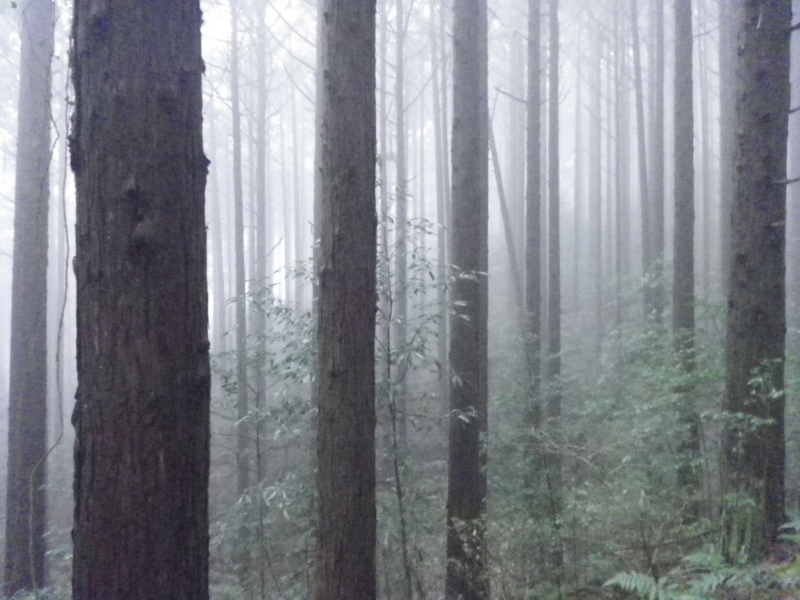 f:id:s-field0808:20120324103820j:image:w360 f:id:s-field0808:20120324103820j:image:w360