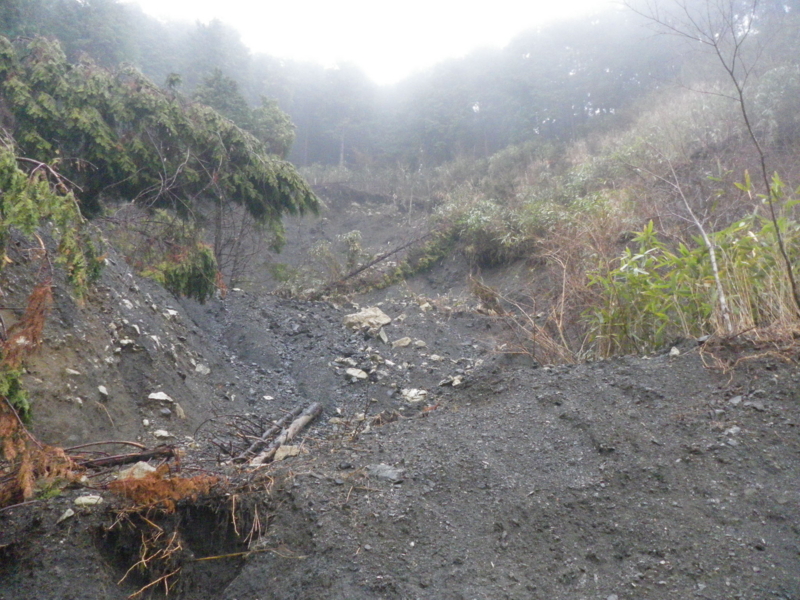 f:id:s-field0808:20120324104812j:image:w360 f:id:s-field0808:20120324104812j:image:w360