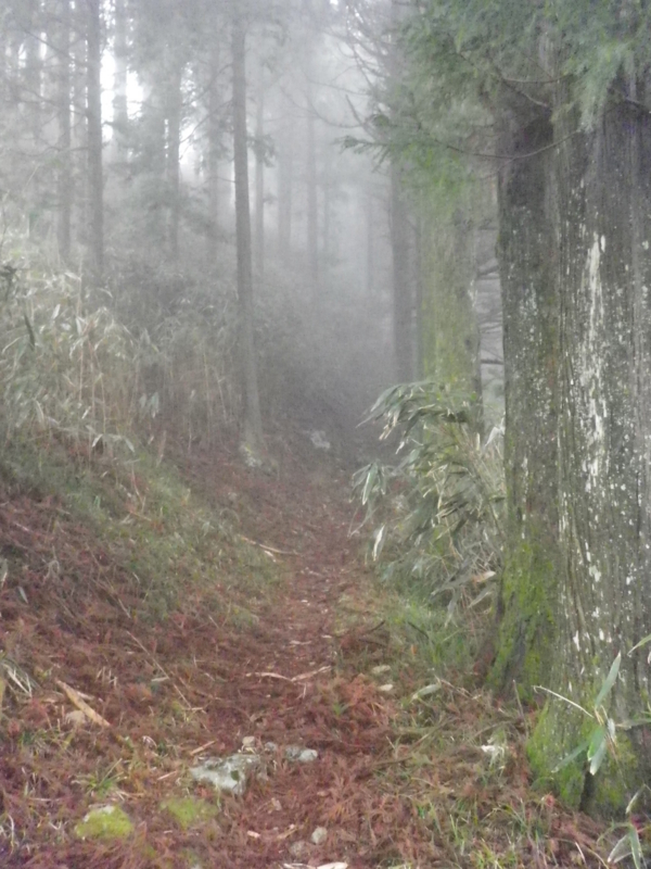f:id:s-field0808:20120324105954j:image:w360 f:id:s-field0808:20120324105954j:image:w360