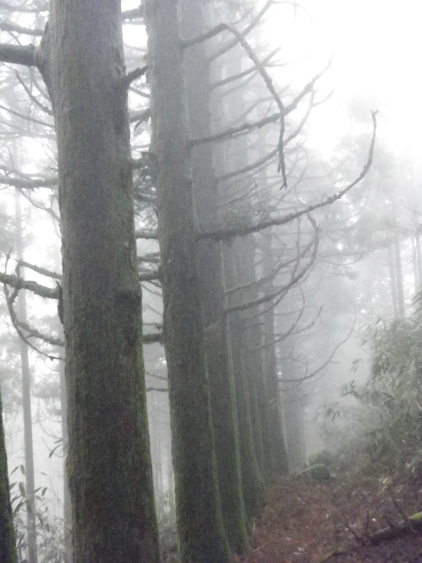 f:id:s-field0808:20120324110147j:image:w360 f:id:s-field0808:20120324110147j:image:w360
