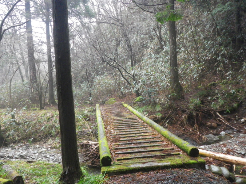 f:id:s-field0808:20120324112403j:image:w360 f:id:s-field0808:20120324112403j:image:w360