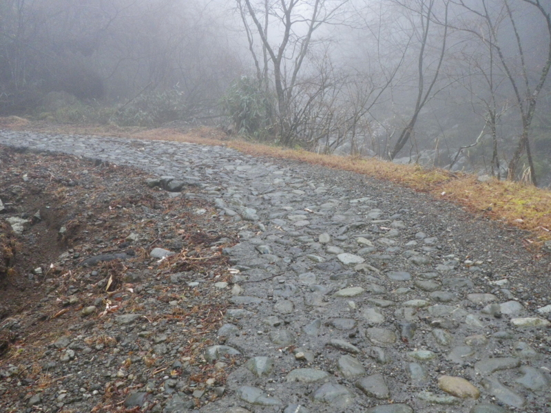 f:id:s-field0808:20120324112801j:image:w360 f:id:s-field0808:20120324112801j:image:w360