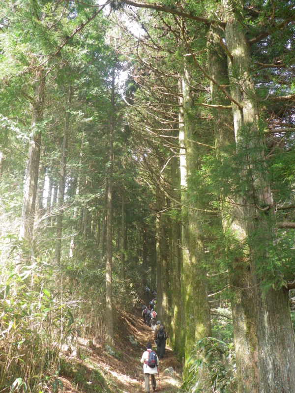 f:id:s-field0808:20120329184001j:image:w360