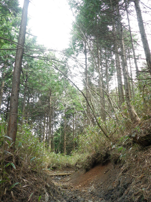 f:id:s-field0808:20120426195524j:image:w360