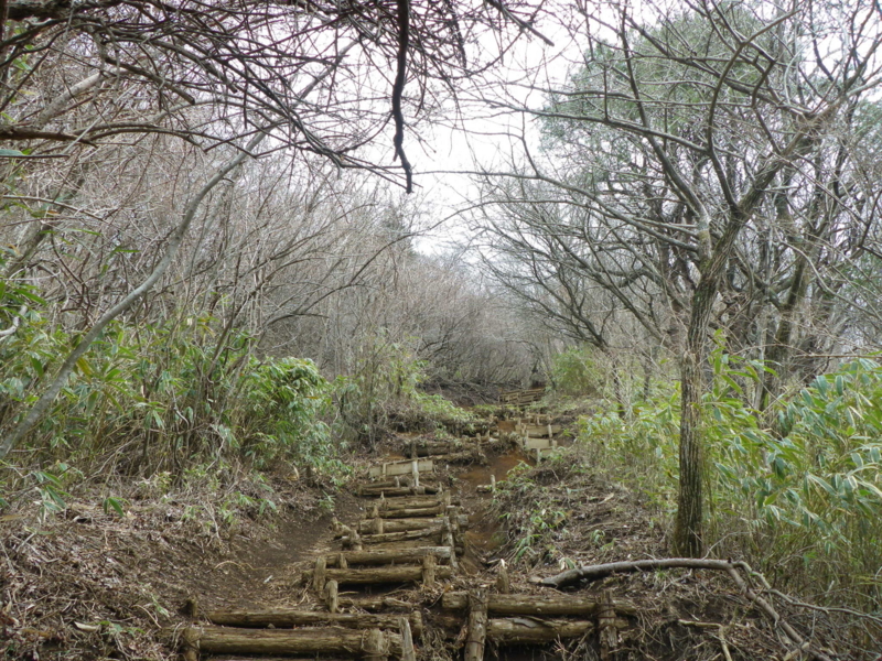 f:id:s-field0808:20120426195656j:image:w360