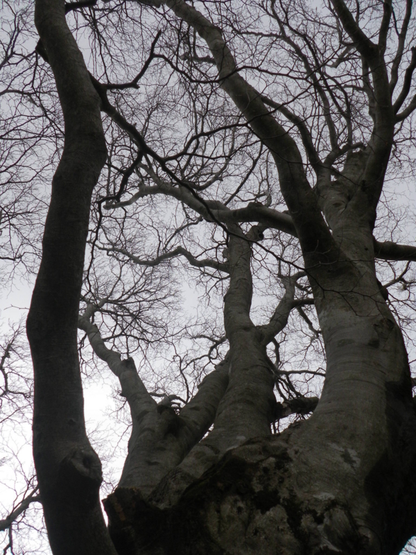 f:id:s-field0808:20120426200128j:image:w360