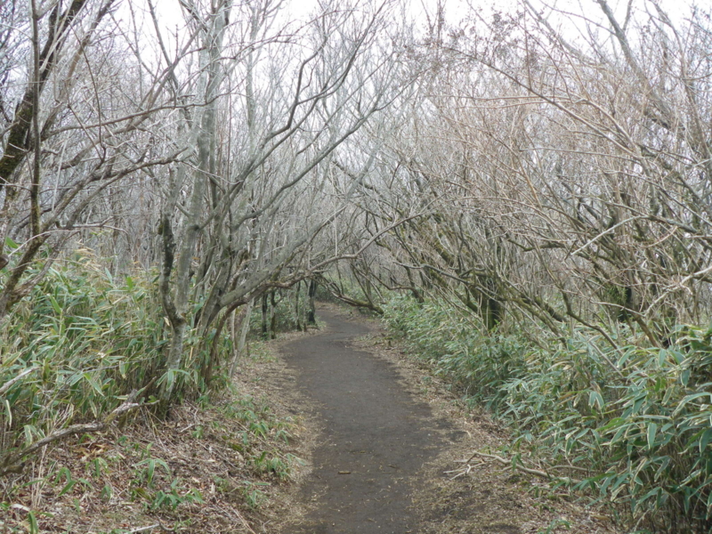 f:id:s-field0808:20120426200132j:image:w360