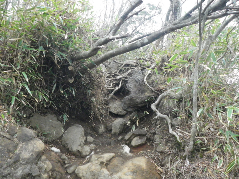 f:id:s-field0808:20120426201426j:image:w360