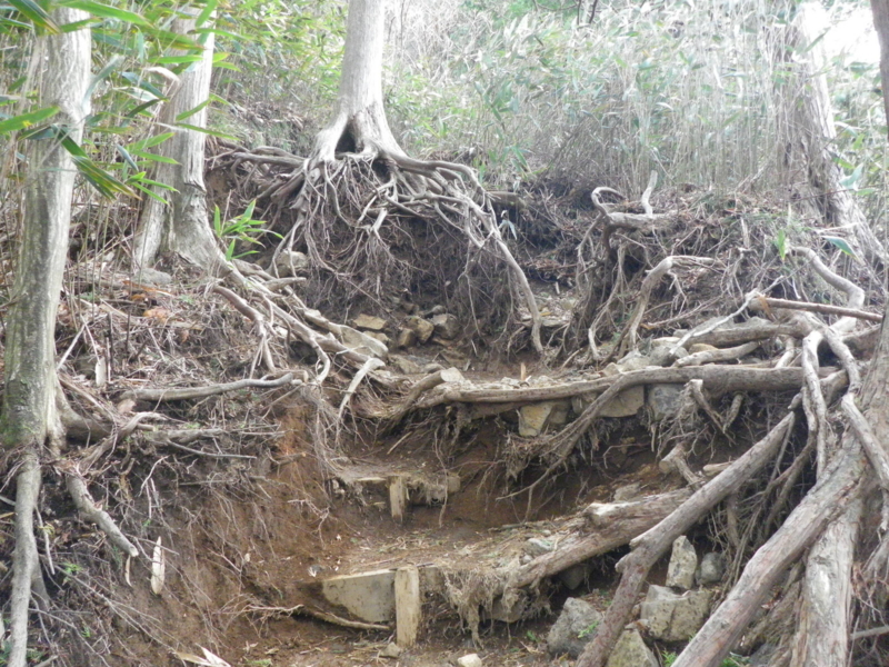f:id:s-field0808:20120426201455j:image:w360