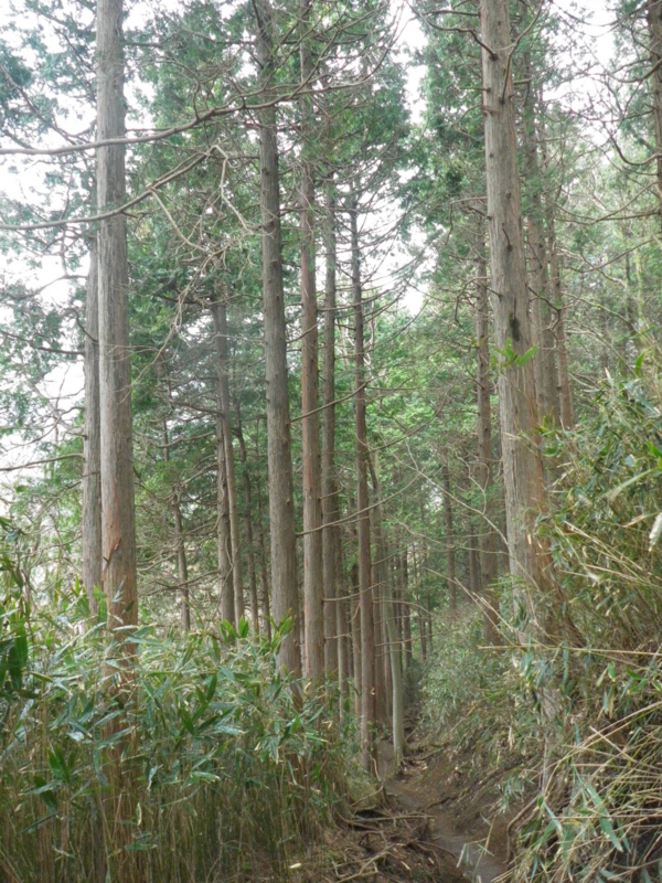 f:id:s-field0808:20120426201715j:image:w360