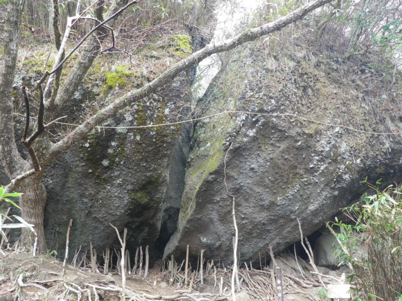 f:id:s-field0808:20120426201907j:image:w360