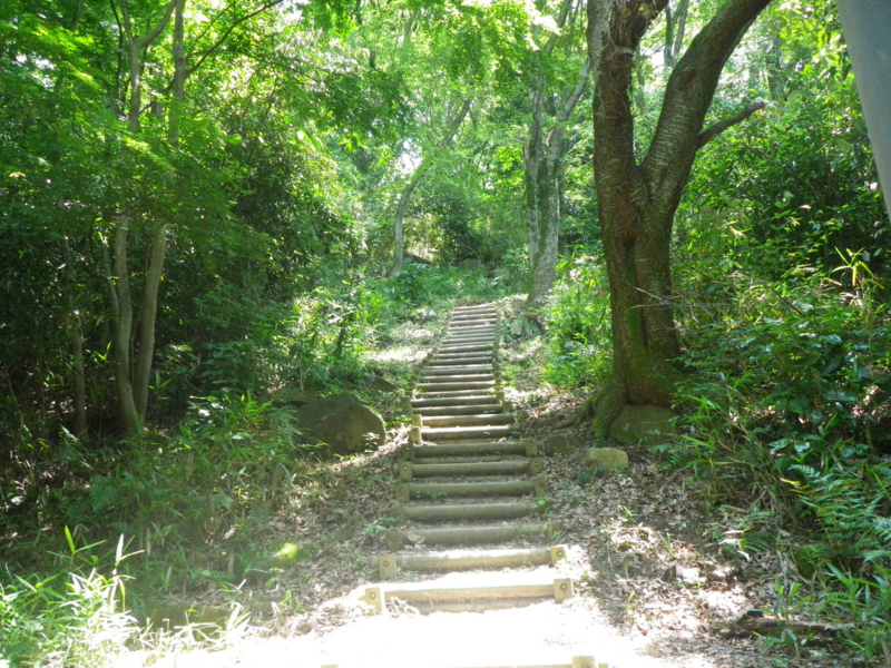 f:id:s-field0808:20120713135351j:image:w360