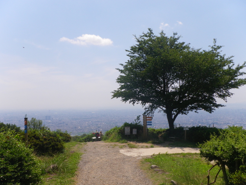 f:id:s-field0808:20120713140340j:image:w360