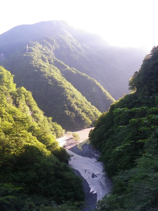 f:id:s-field0808:20120718174402j:image:w360