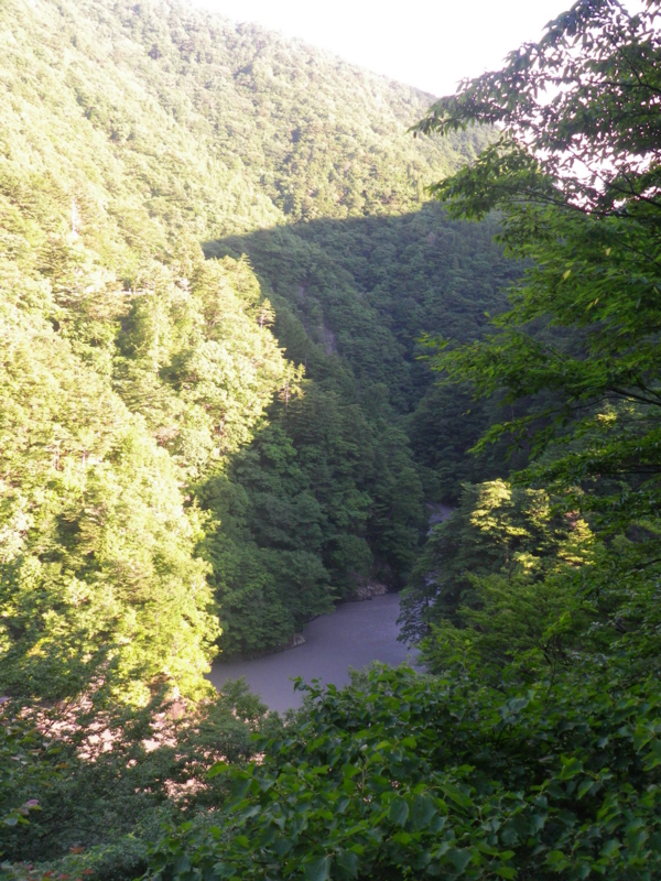 f:id:s-field0808:20120718174407j:image:w360