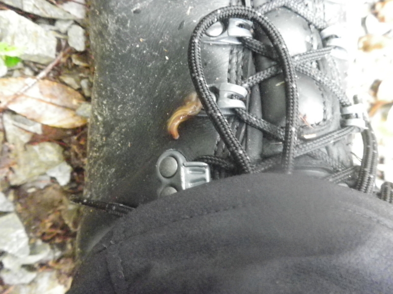 f:id:s-field0808:20120718174955j:image:w360