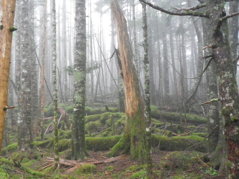 f:id:s-field0808:20120718175130j:image:w360