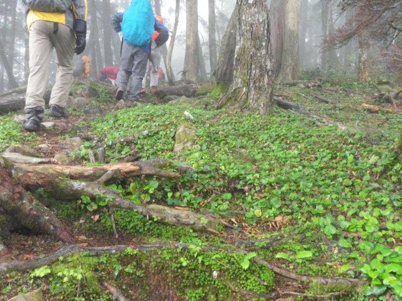 f:id:s-field0808:20120718175320j:image:w360