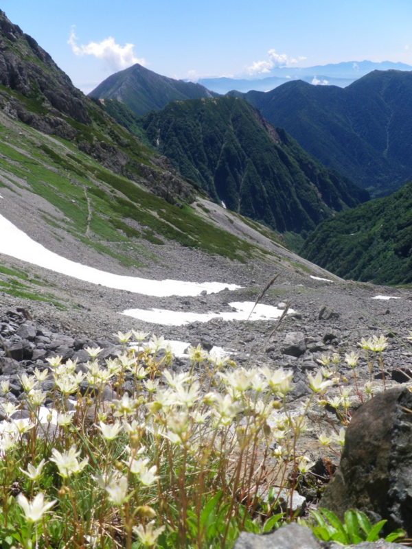 f:id:s-field0808:20120822123859j:image:w360 f:id:s-field0808:20120822123859j:image:w360