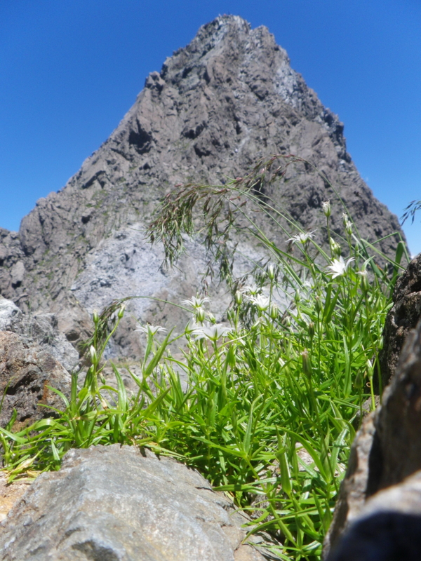 f:id:s-field0808:20120822125602j:image:w360 f:id:s-field0808:20120822125602j:image:w360