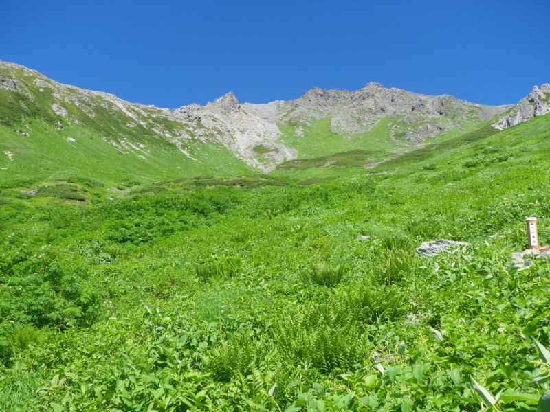 f:id:s-field0808:20120822130119j:image:w360 f:id:s-field0808:20120822130119j:image:w360