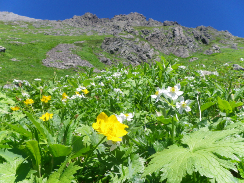 f:id:s-field0808:20120822130123j:image:w360 f:id:s-field0808:20120822130123j:image:w360
