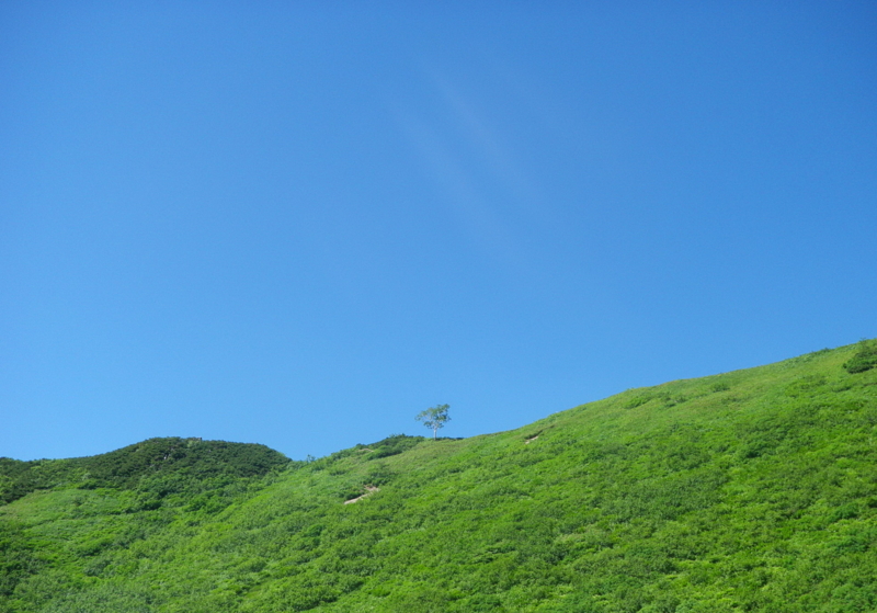 f:id:s-field0808:20120822130358j:image:w360 f:id:s-field0808:20120822130358j:image:w360