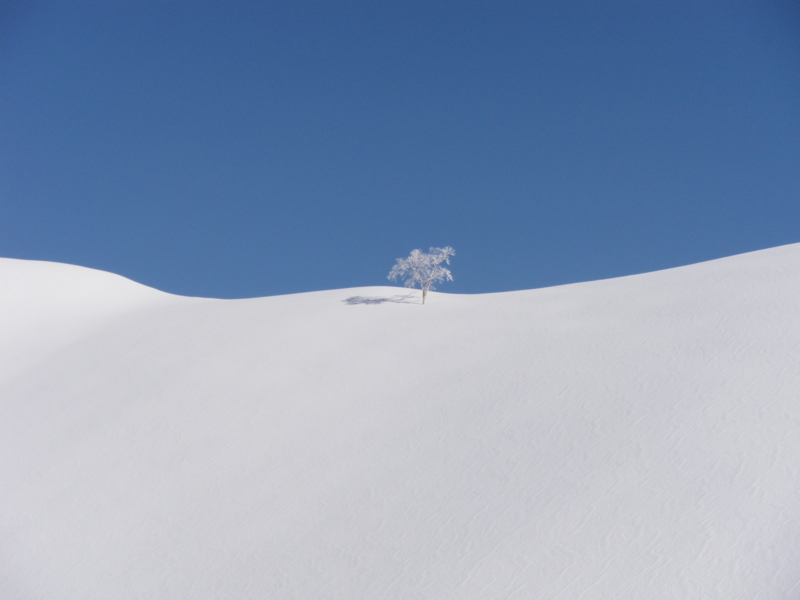 f:id:s-field0808:20120822130828j:image:w360 f:id:s-field0808:20120822130828j:image:w360