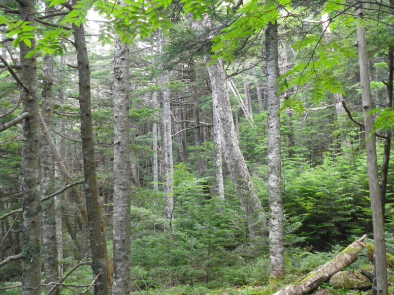 f:id:s-field0808:20120911120140j:image:w360