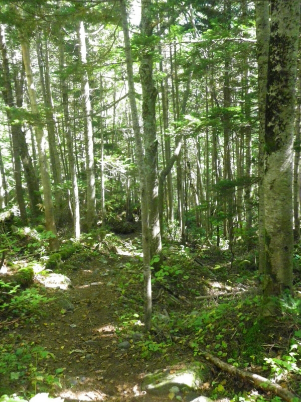 f:id:s-field0808:20121112172857j:image:w360 f:id:s-field0808:20121112172857j:image:w360