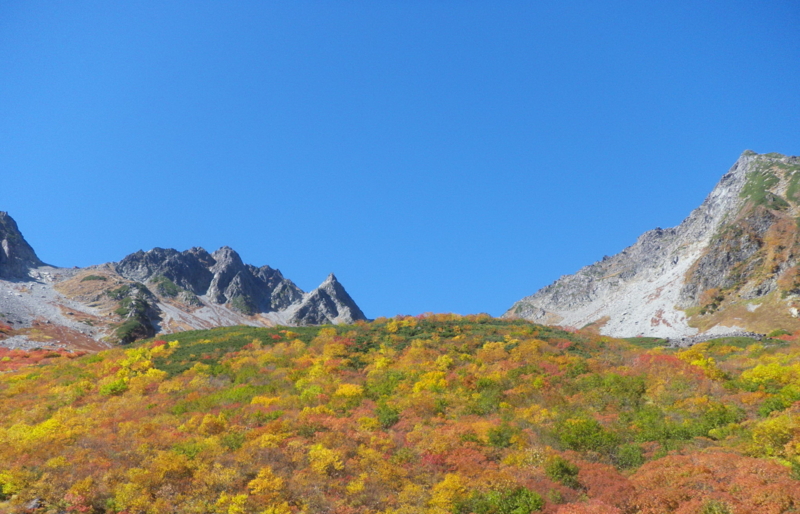 f:id:s-field0808:20121202110231j:image:w360
