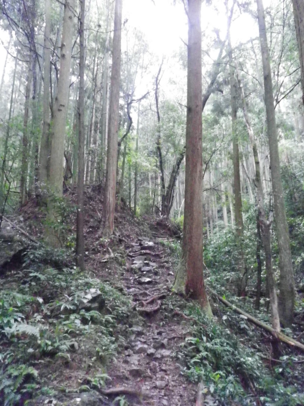 f:id:s-field0808:20121206114224j:image:w360