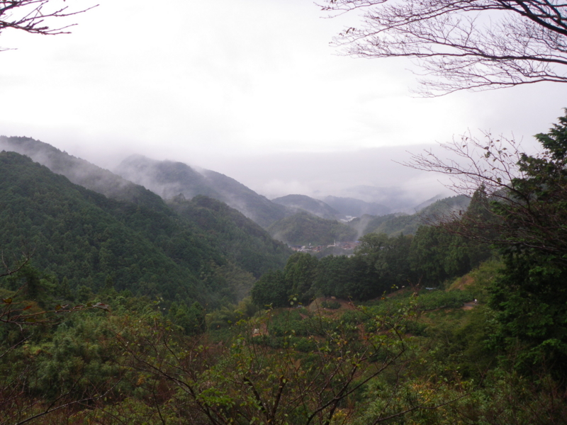 f:id:s-field0808:20121206114518j:image:w360