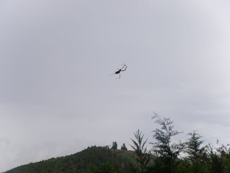 f:id:s-field0808:20121206114808j:image:w360