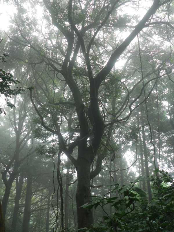 f:id:s-field0808:20121206114917j:image:w360
