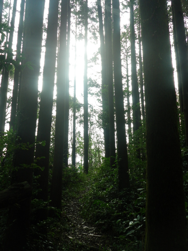 f:id:s-field0808:20121206115008j:image:w360