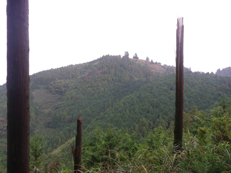 f:id:s-field0808:20121206115047j:image:w360