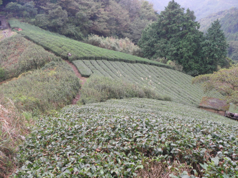 f:id:s-field0808:20121206115705j:image:w360