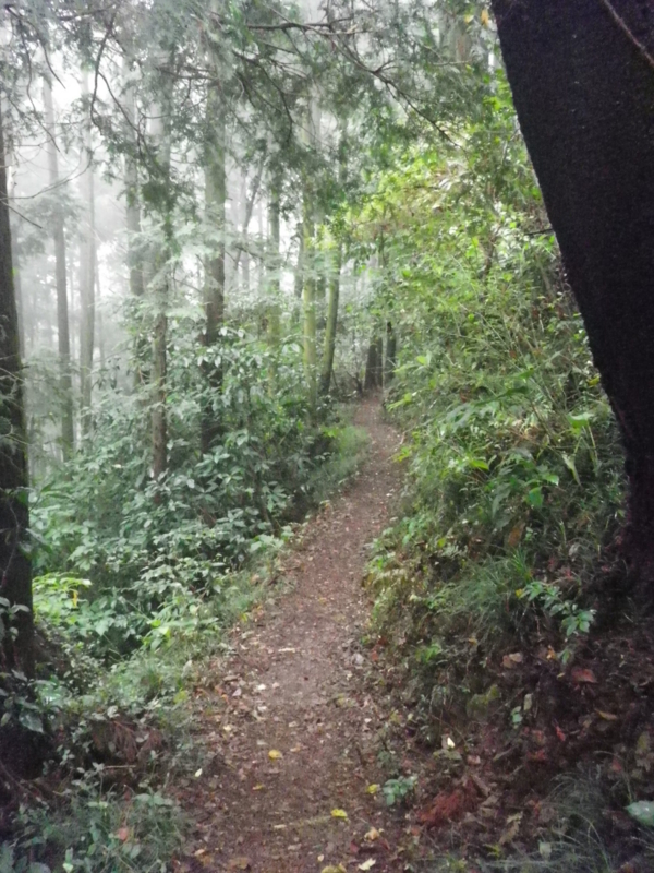 f:id:s-field0808:20121206115709j:image:w360