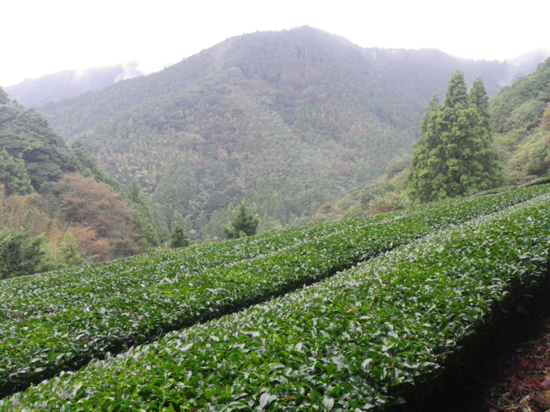 f:id:s-field0808:20121206120652j:image:w360