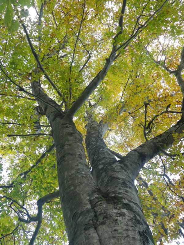 f:id:s-field0808:20121206185233j:image:w360