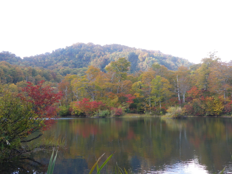 f:id:s-field0808:20121206185240j:image:w360