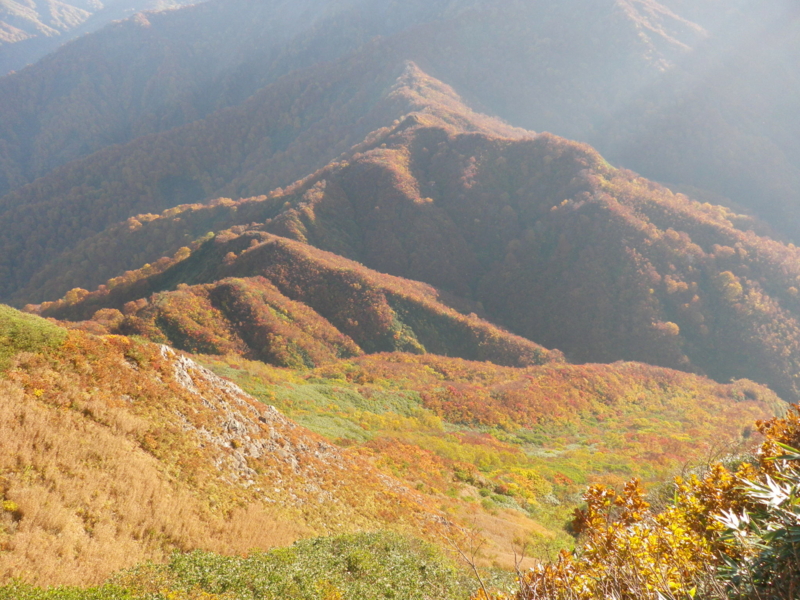 f:id:s-field0808:20121206191829j:image:w360