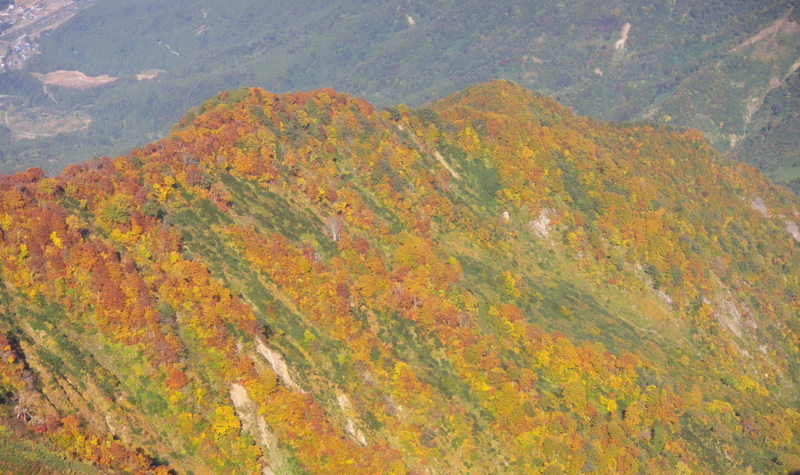 f:id:s-field0808:20121206191903j:image:w360