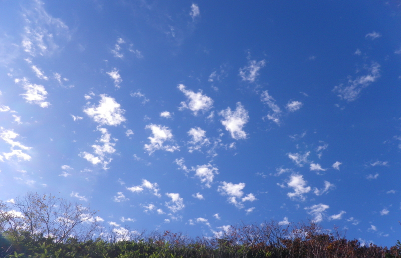 f:id:s-field0808:20121206193015j:image:w360