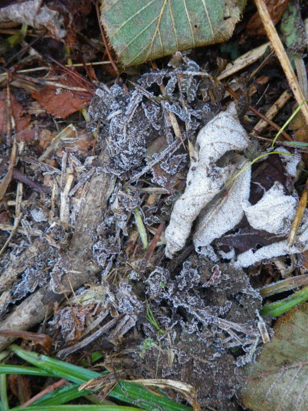 f:id:s-field0808:20121206193153j:image:w360