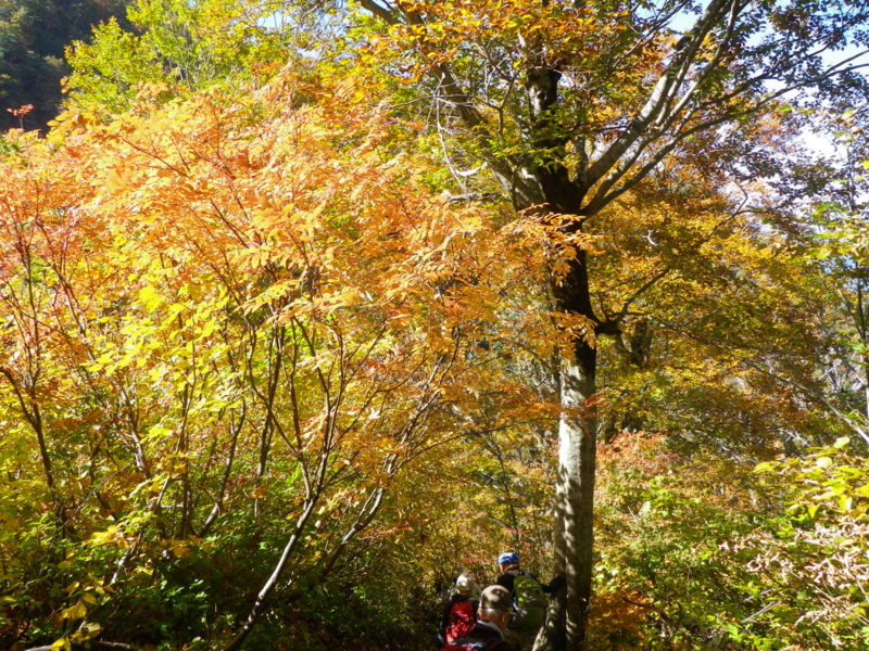 f:id:s-field0808:20121206193304j:image:w360